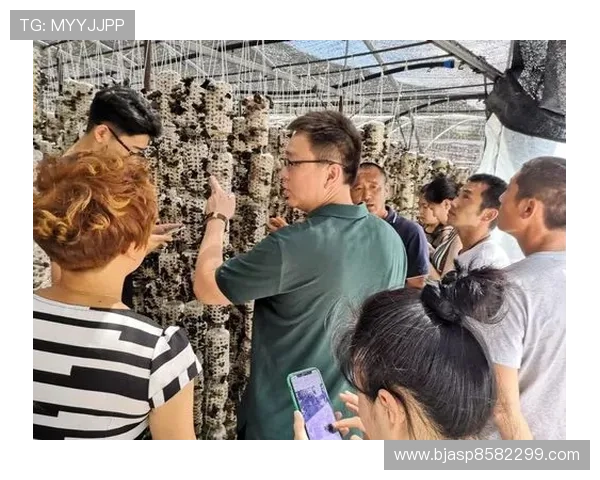 中国高尔夫精英赛再启航 助力中国高尔夫实现持续发展与良性循环